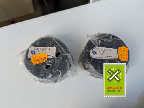 PXL_20240523_150443468